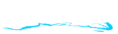 2024-08-12-1723475265-vauhdikas-logo.png